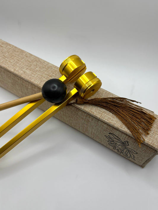 Tuning Fork Ear Kit
