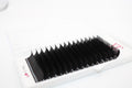 0.05 Classic Lash Tray