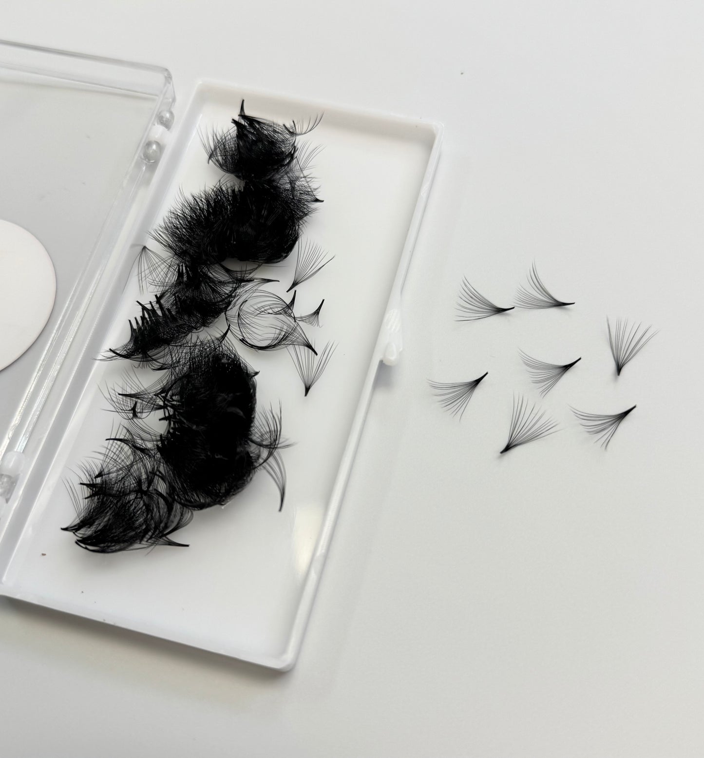 Premade 20D (500 fans)