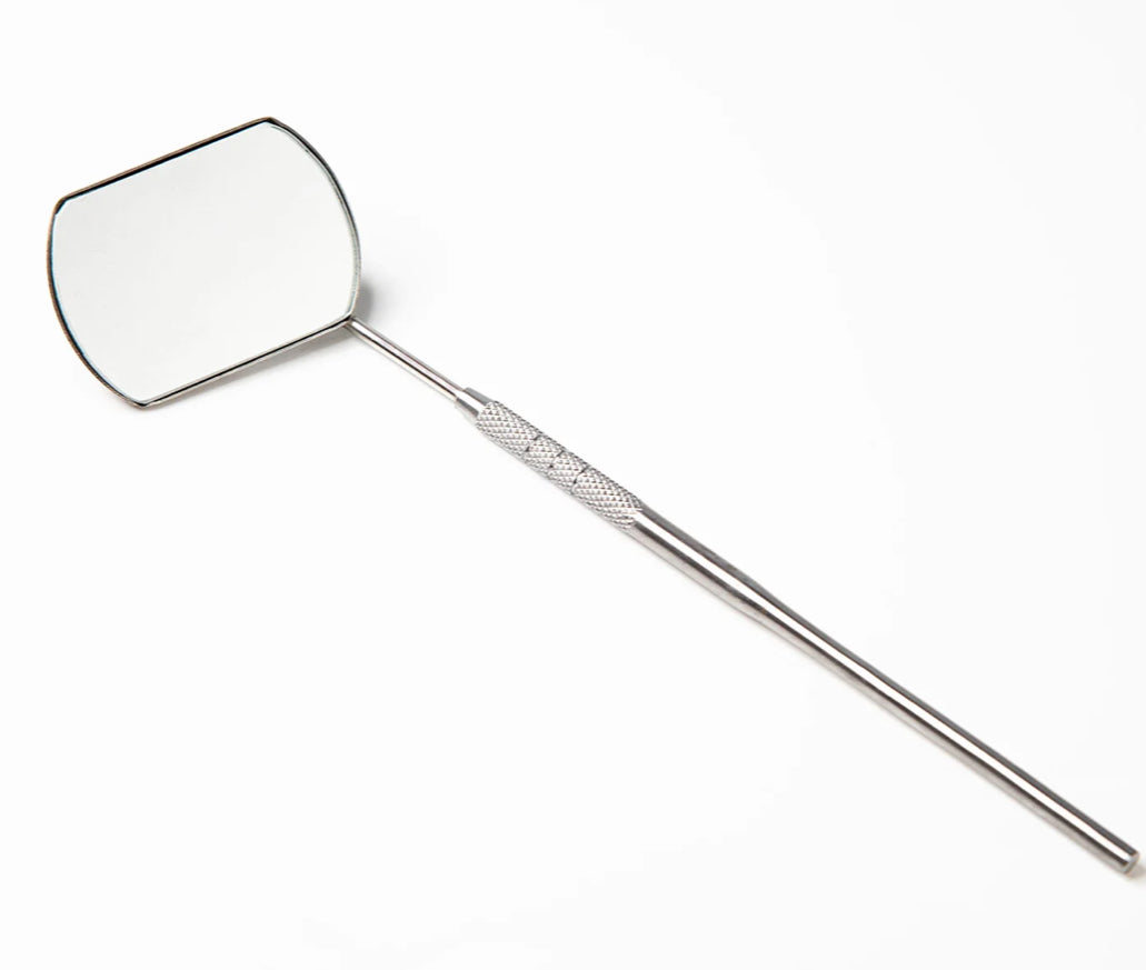 Lash Mirror